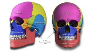 Craniofacial Disorders dentistry